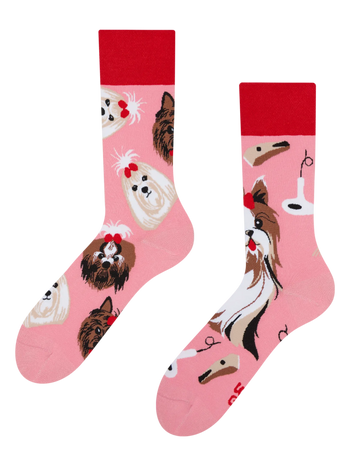 Chaussettes rigolotes Yorkshire terrier