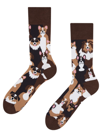 Chaussettes rigolotes Toutous