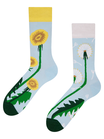 regular-socks-dandelion-spring-02-ab/abee8e95836f372c9f3949c53b50e7125ca94b5e