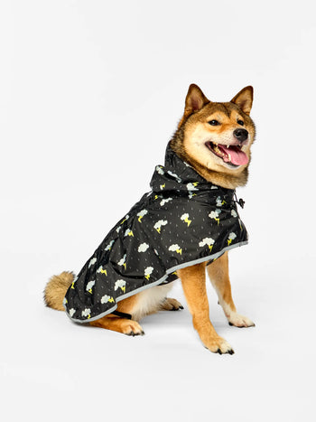 Manteau de pluie pour chien Tempête