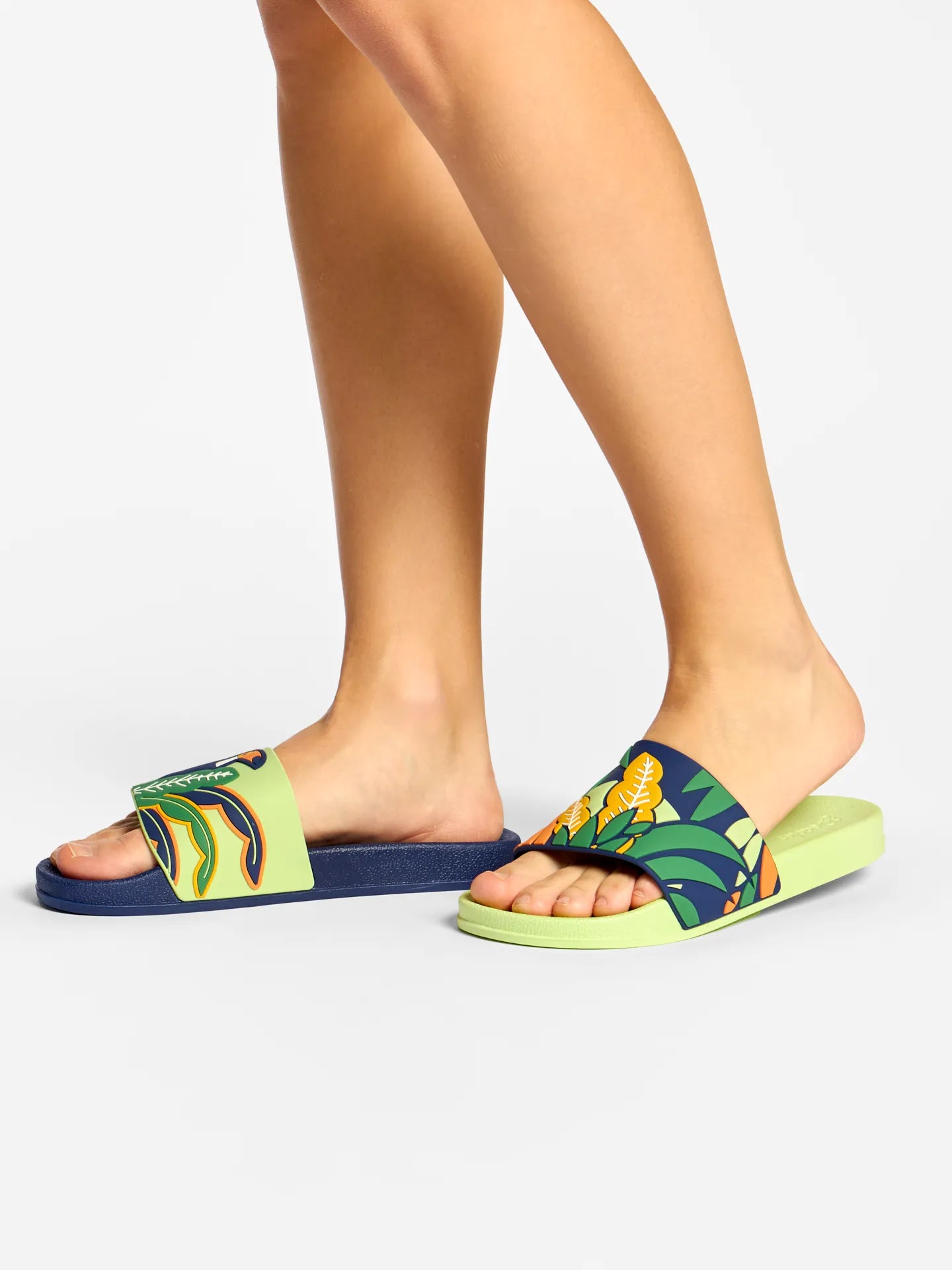 slides-toucan-leaves-13/138a08e202b203ee4e9c506c0fe14189dcbbab18