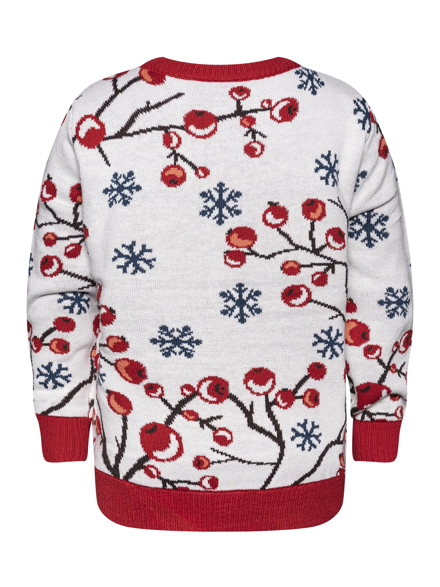 kids-winter-sweater-winter-berries-15/15dba8db7ad02a480f82014e91f640b06d390a38