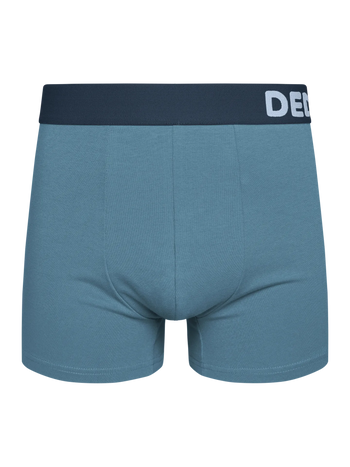 Boxer bleu froid pour hommes