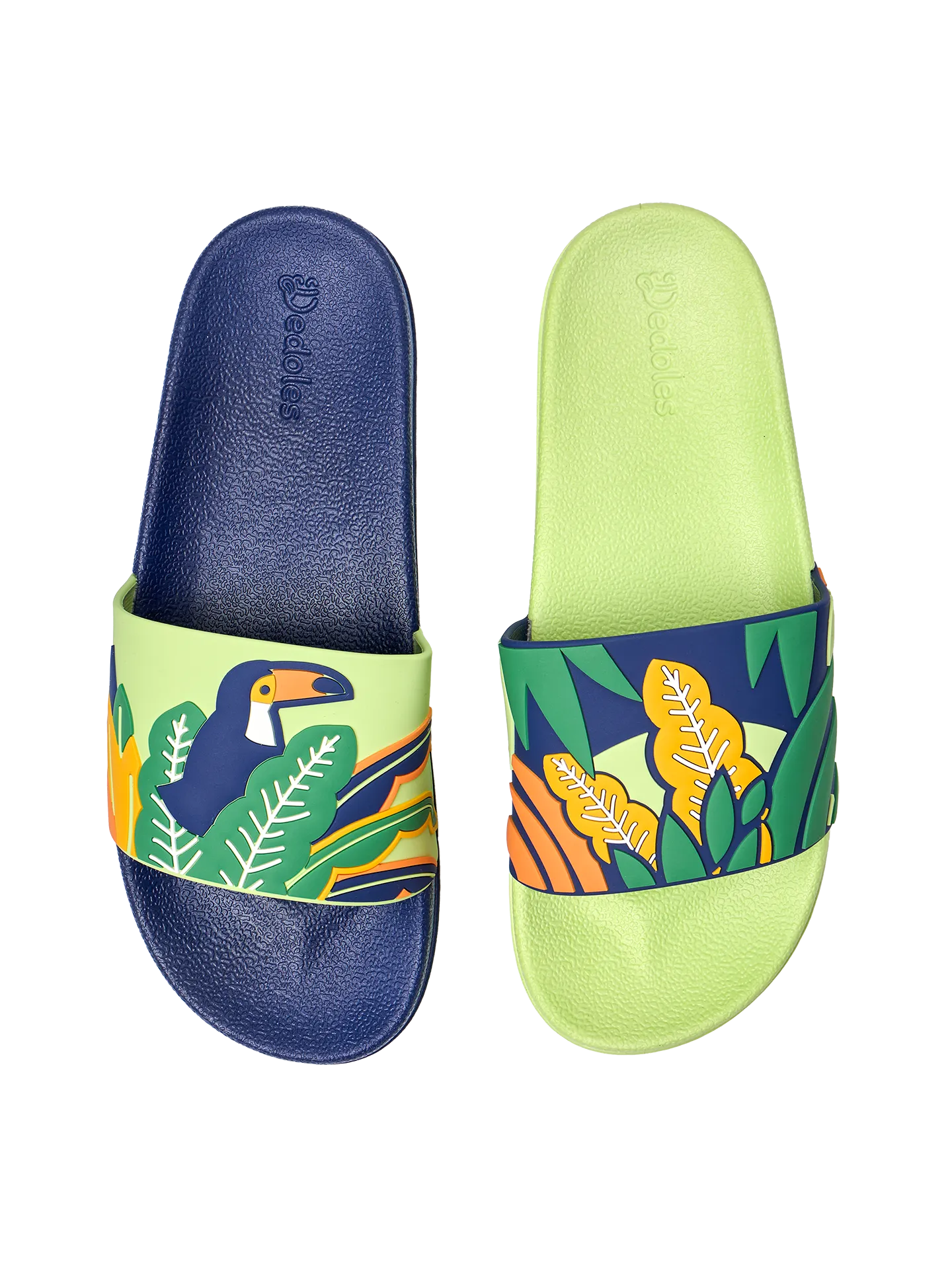 slides-toucan-leaves-27/27cde7ec5fe2b5798e4dade6adbbe403a5841578