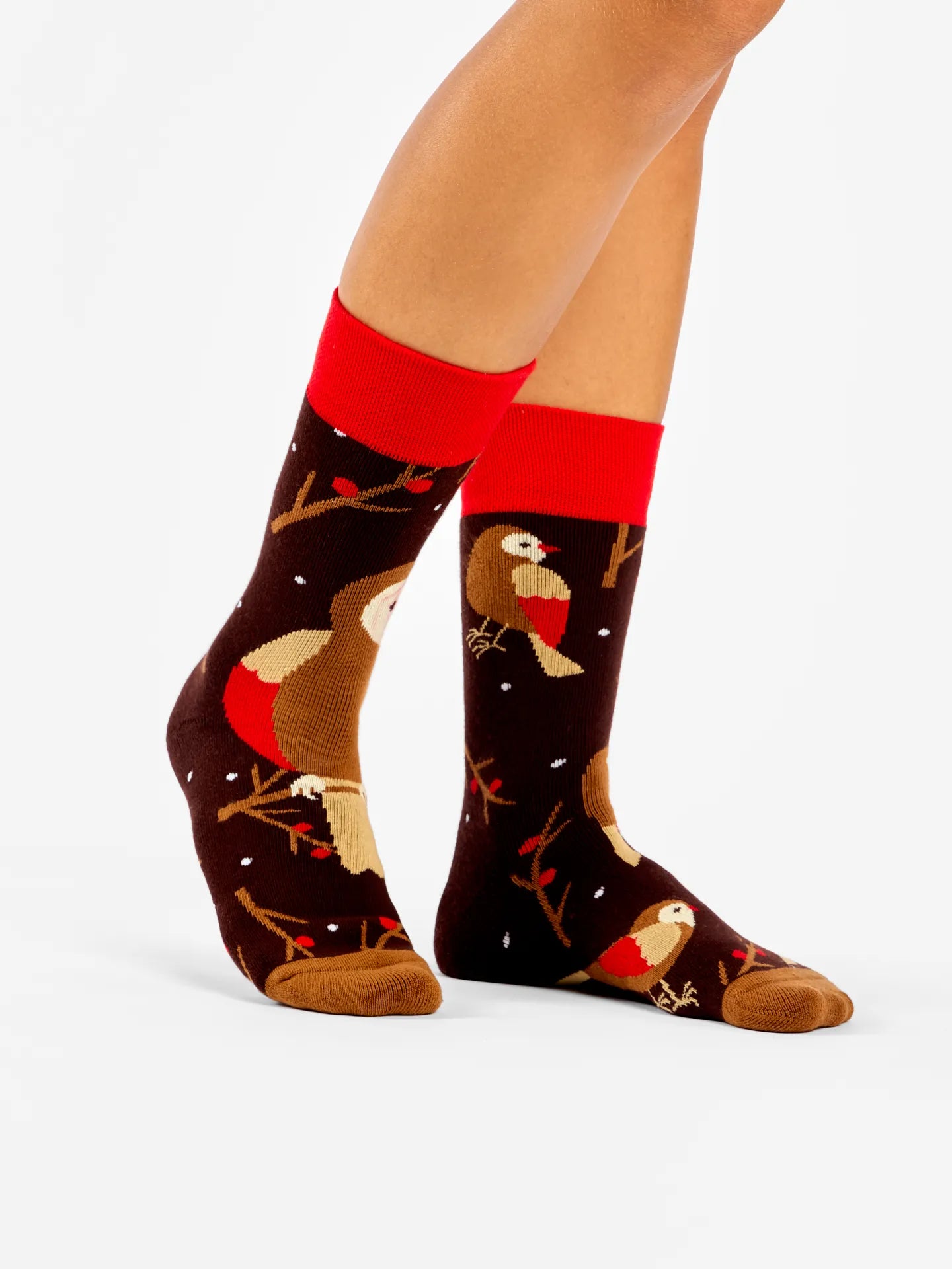 warm-socks-bird-on-a-branch-c6/c605482acf98d8c01967ffdb4b03be56a6d06567