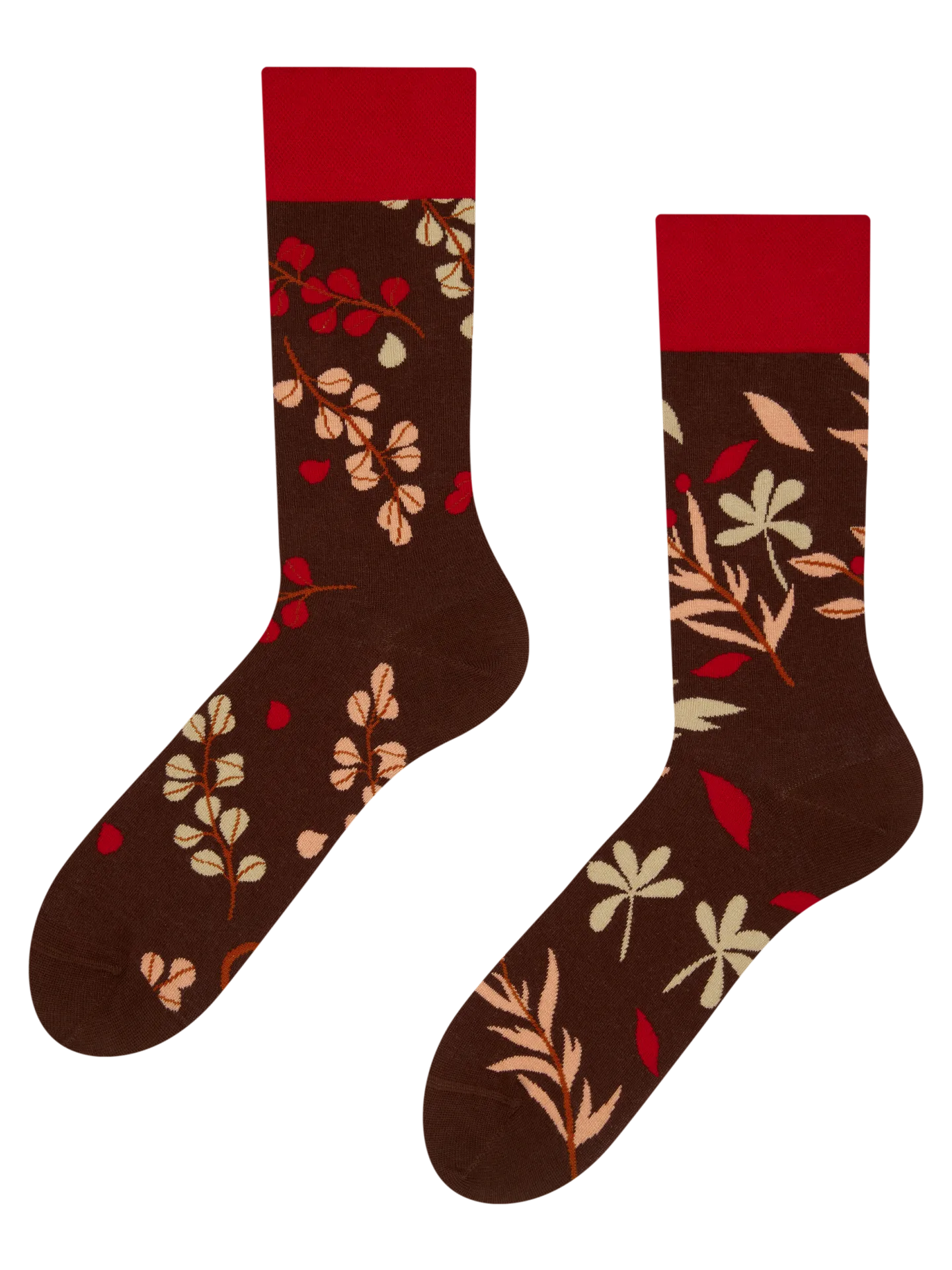 regular-socks-autumn-garden-3c/3c1752bc6b855025f9b8c3ab927bbbc8b4cc1307