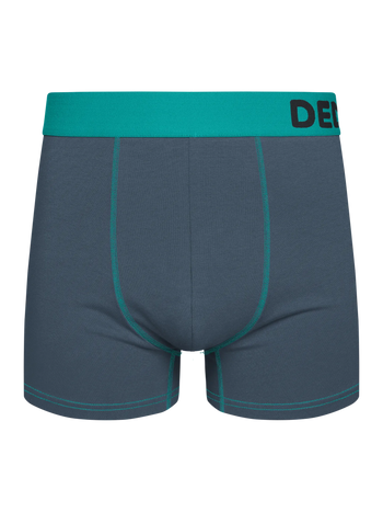 Boxer gris et turquoise pour hommes