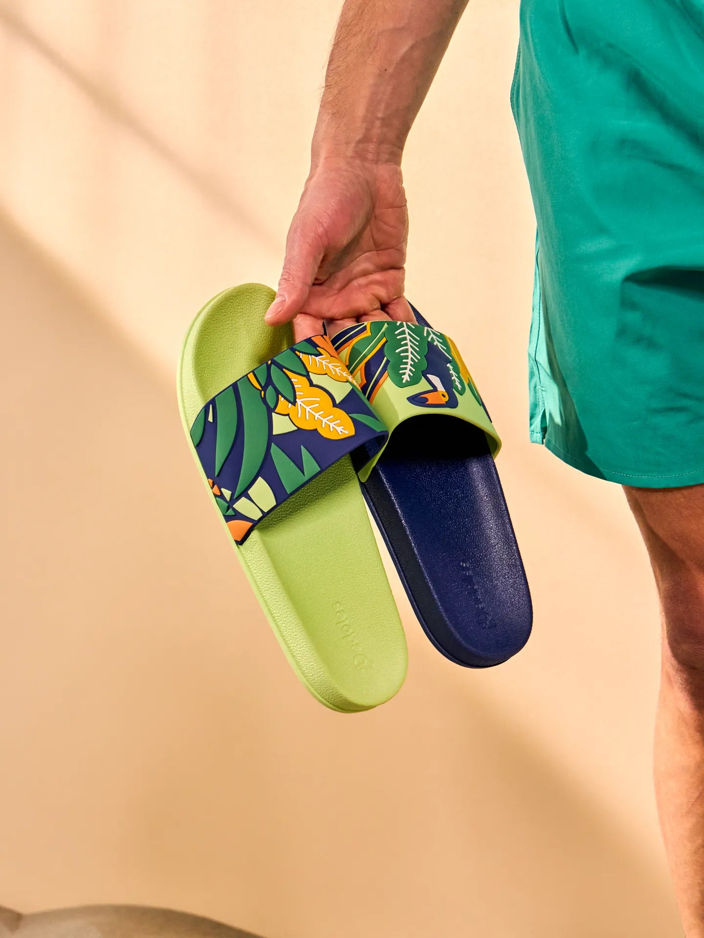 slides-toucan-leaves-3f/3f37ac0b6e684cbb2755e722bb6e946112062302