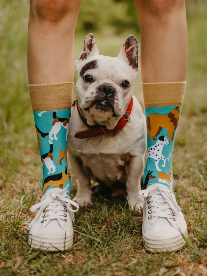 regular-socks-dog-friends-40/4032eefb049551575a7ad60da3e93b2dfc29b804