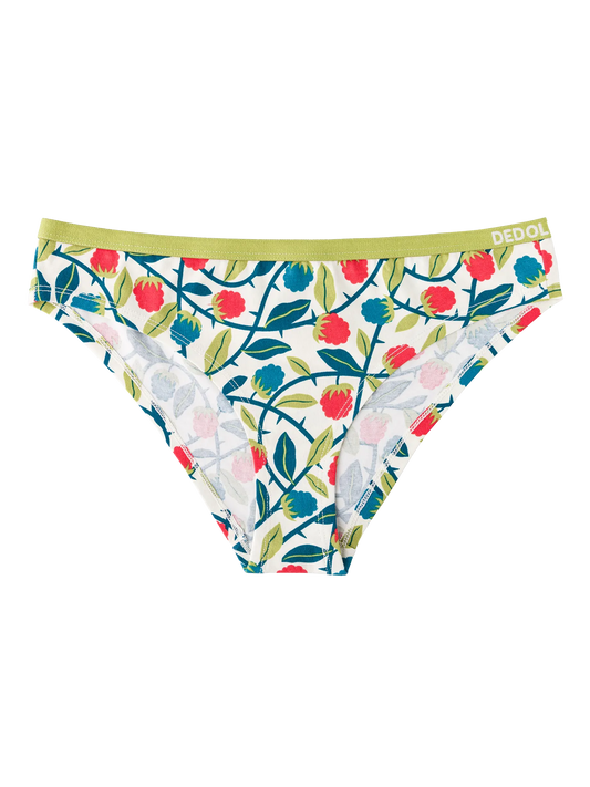 womens-briefs-raspberries-1-40/4045c2771d5a63c2d229c71a12af2741bbba05d3