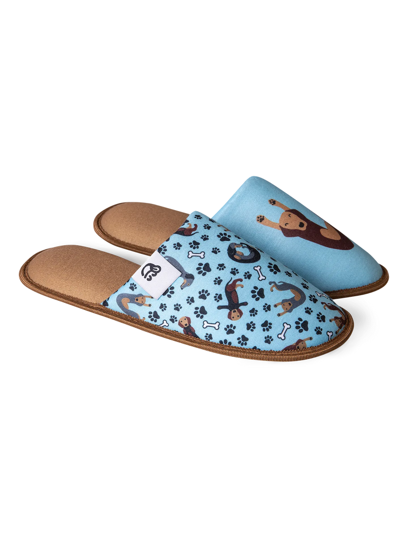 slippers-dachshund-42/429c7bf6d4fa63d1406a92a743c3597bca1fb2ea