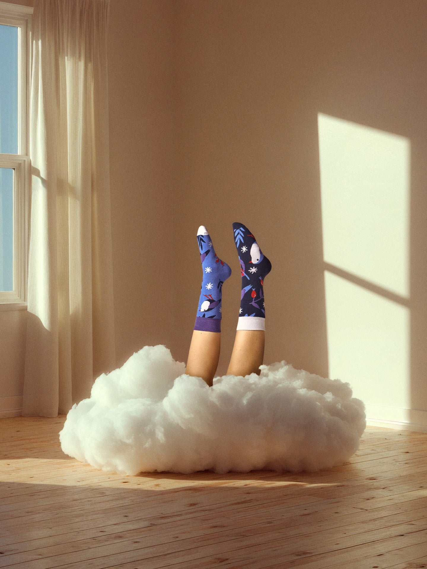 warm-socks-bird-in-winter-c0/c0d38b313edfe4598e0bdd64143c87921ddf0756