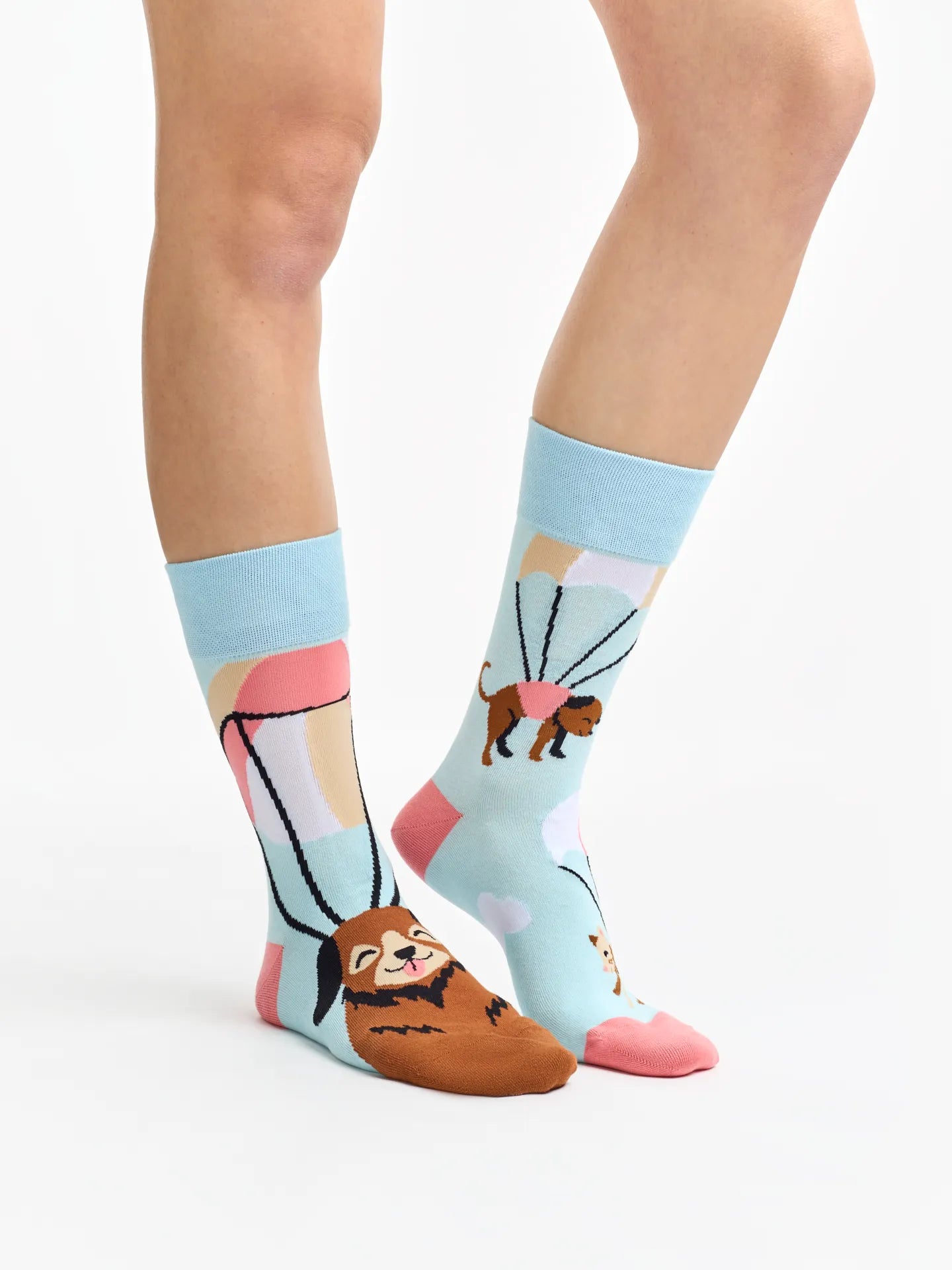 regular-socks-flying-cats-dogs-02-66/669c3aa48ce8a53a30e7e53099b7a24cb5b49bde