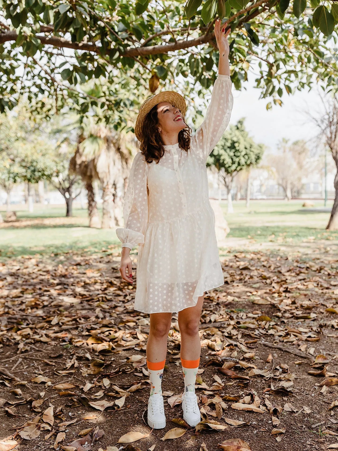 regular-socks-cute-birds-a6/a61d0b83e66895198774c091f717903f68f5ff1b