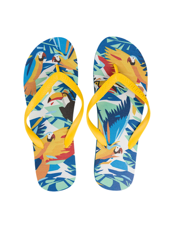 Tongs rigolotes Oiseaux tropicaux