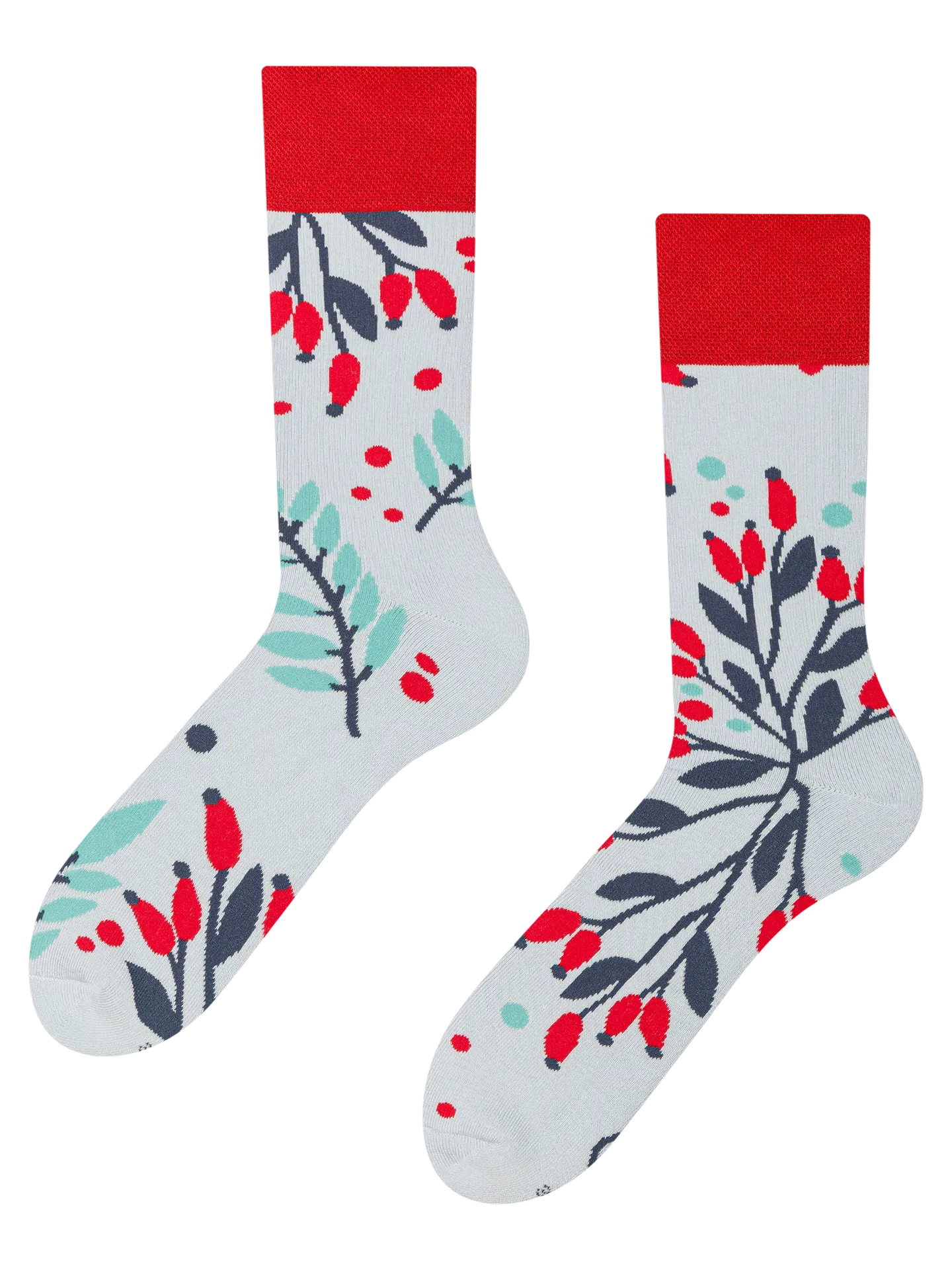 warm-socks-rosehips-in-snow-4d/4da5f8bd5631a196108bcc4428c709afa32d50b1