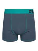 grey-turquoise-mens-trunks-3e/3e66c051c6a716637d58f5c37068ae9a18a1bc35