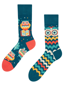Chaussettes rigolotes Hibou sage