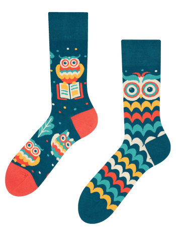Chaussettes rigolotes Hibou sage