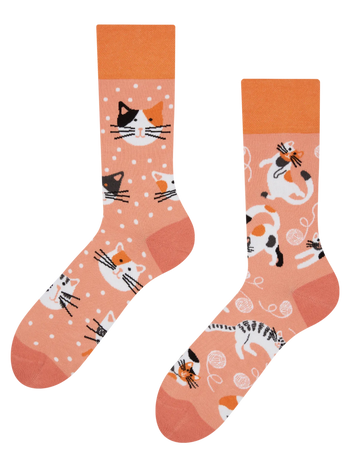 Chaussettes rigolotes Chats espiègles