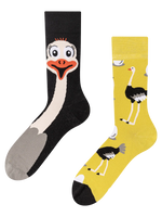 regular-socks-ostrich-02-56/56e9d4d5788f4c3fda3891919197b1489d395e87