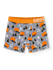 boys-boxers-garbage-truck-57/5702b3454ca0613a28e54b27e1a1759d4dd9265f