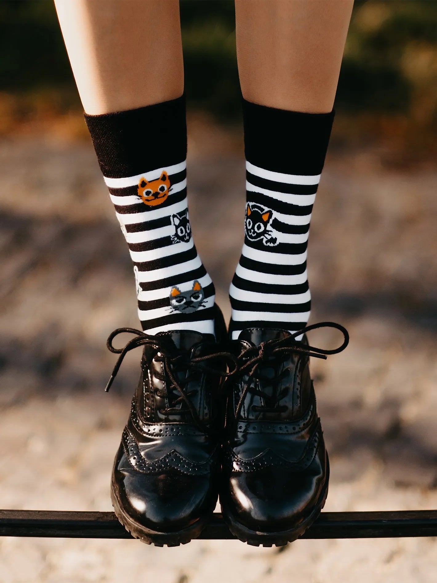 regular-socks-cats-stripes-02-bf/bf446811f50361d48d3f2f6d93bcdd8ed9e91e2a