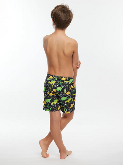 boys-swim-shorts-dino-5c/5c026baace3ff2696b8d41b4579eb736e8ef1760