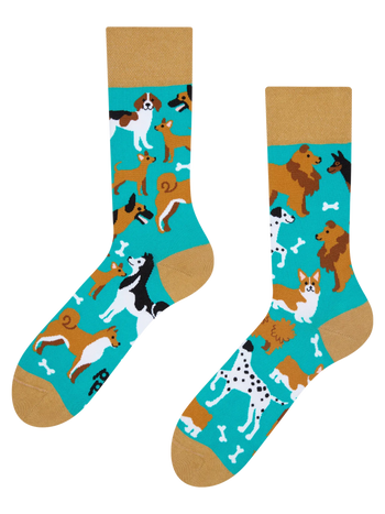 Chaussettes rigolotes Chiens amis