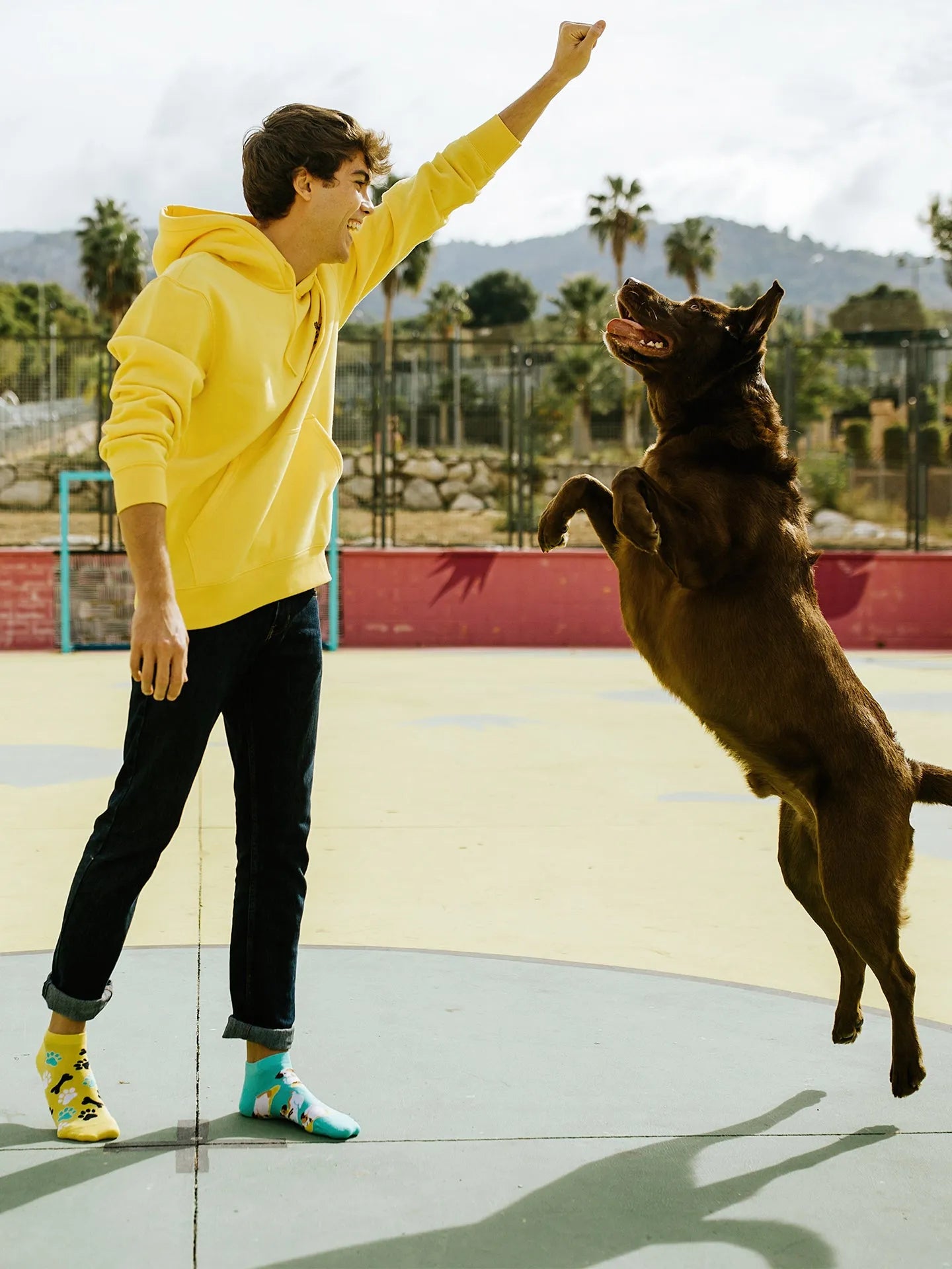 ankle-socks-happy-dog-02-65/65ba279d2c79377bcea106116e6377dc28fba23e