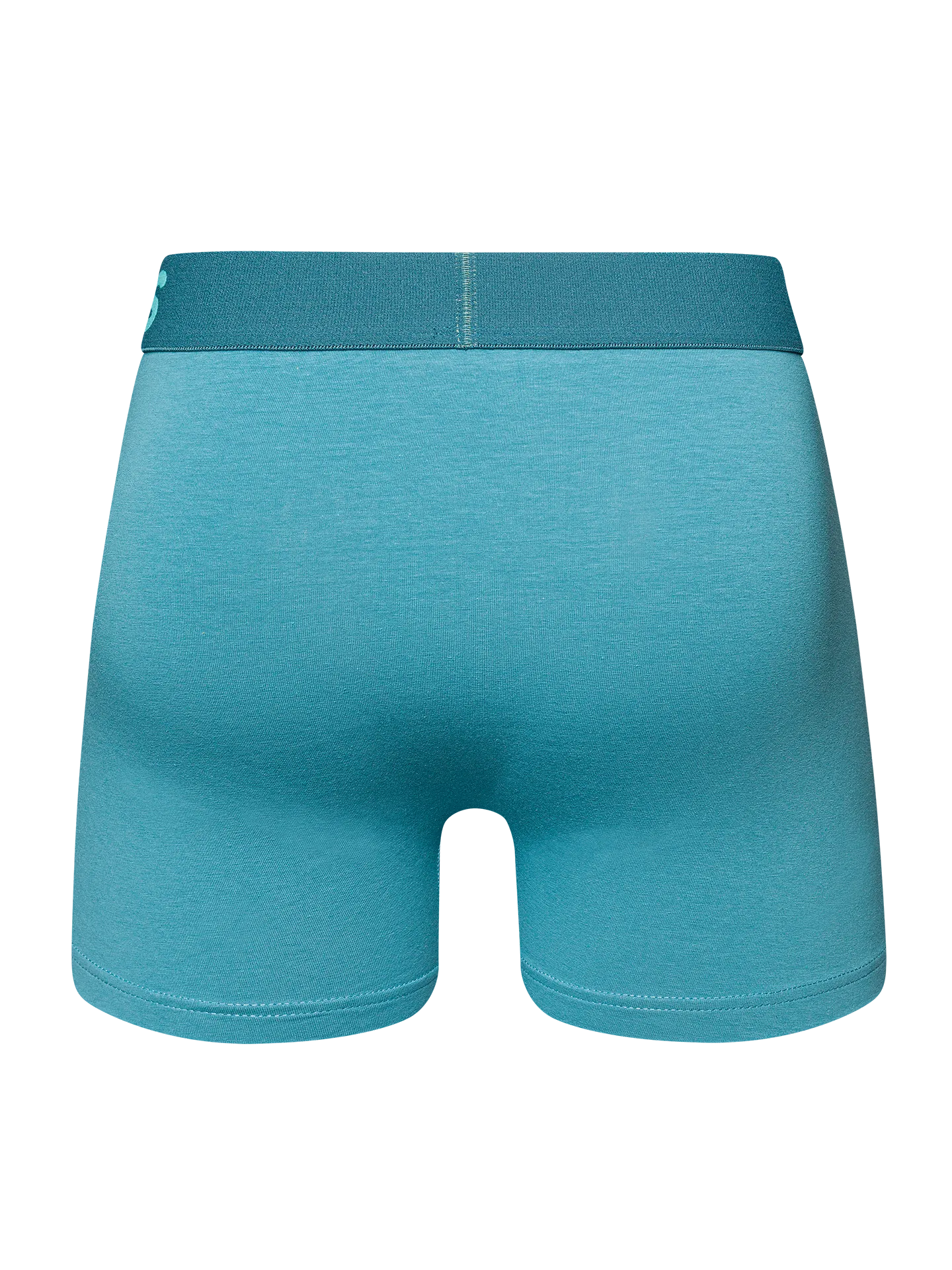 iceberg-blue-mens-trunks-okt-6a/6ac1796672adf555524b2cfdbf8a4225290b3ed6