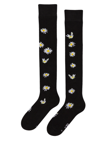 Chaussettes rigolotes hautes au-dessus des genoux Marguerites durant la nuit