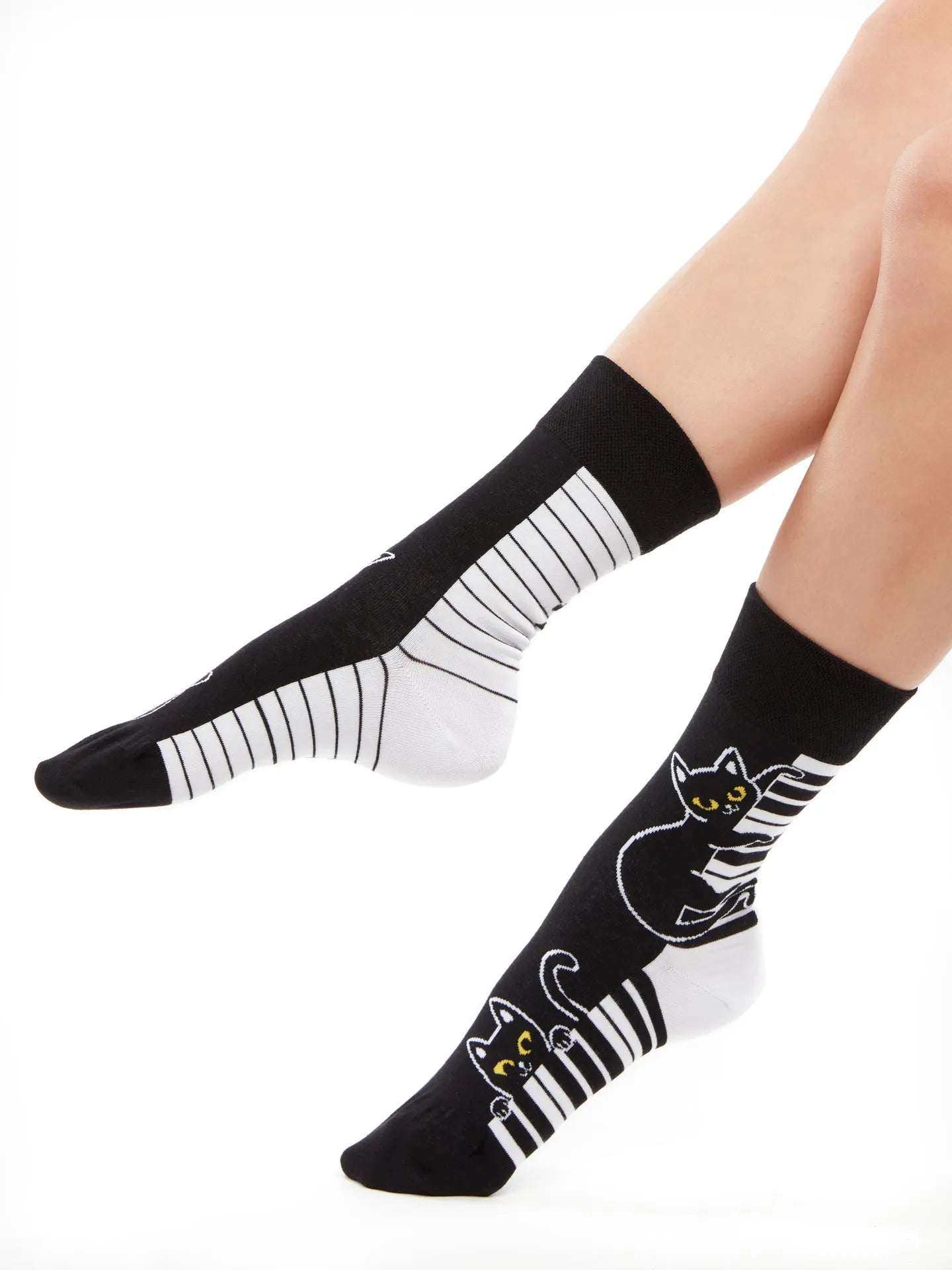 regular-socks-piano-cat-02-31/315b12b32d8b5a2ee1777fdd3344249e0667fed0