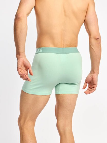 mint-green-mens-trunks-c8/c8b50239cad4dec926a63f4ecec6f0c2485ce7cf