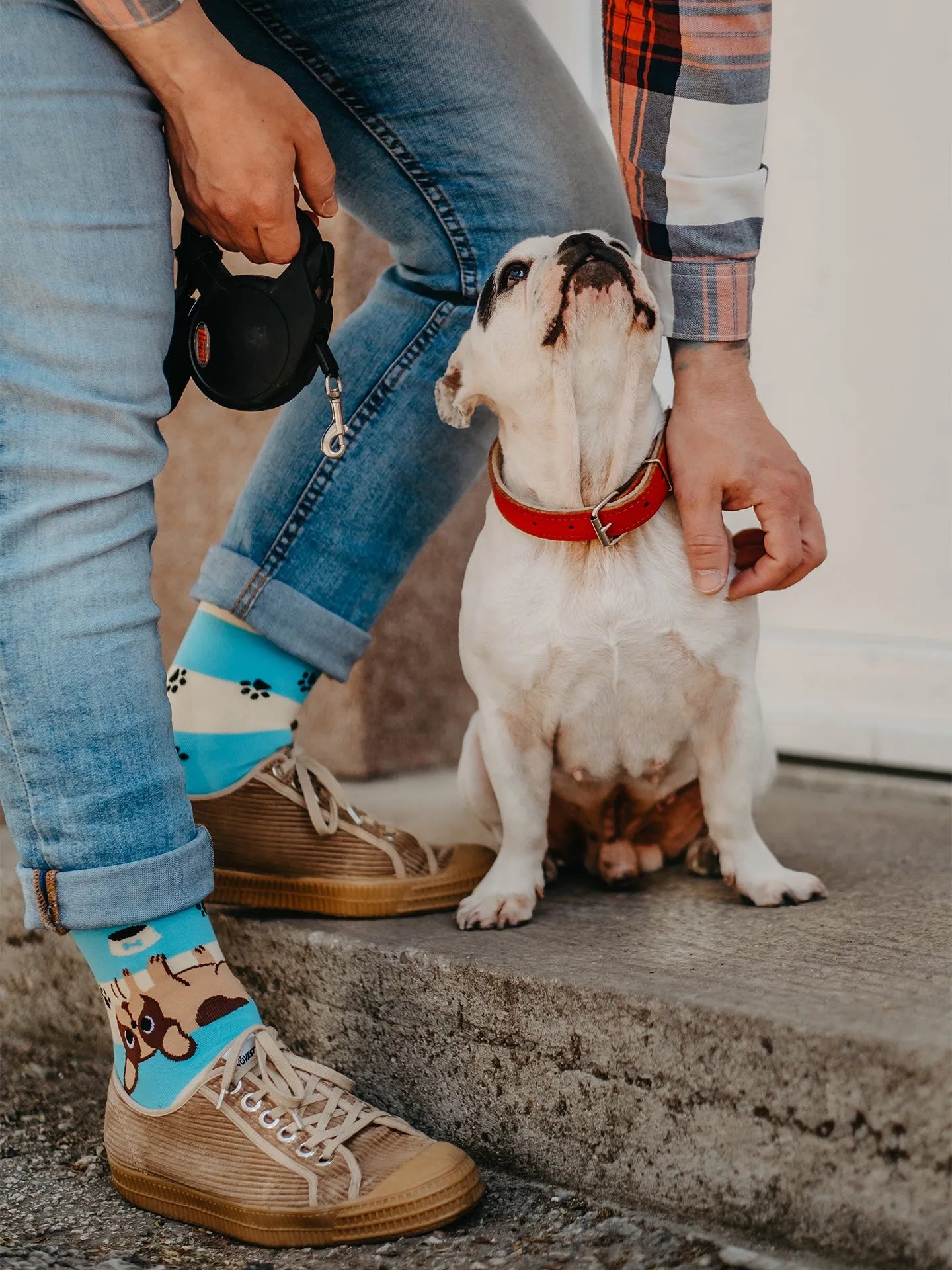 regular-socks-dogs-stripes-77/7732575982cbc61f1f7a9ebb254b418950ac719a