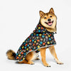 Manteau de pluie pour chien Petits coeurs et pattes