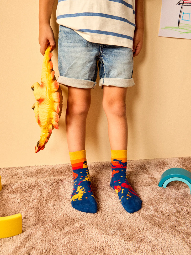 kids-socks-dinosaur-world-1-8b/8b0d972edc84ffbafaf08a425b4ff8ff5c9e8048