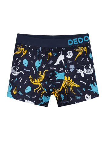 Boxers rigolos pour garçons Dinosaures