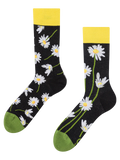 Chaussettes rigolotes Marguerites durant la nuit