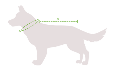 Manteaux de pluie pour chiens