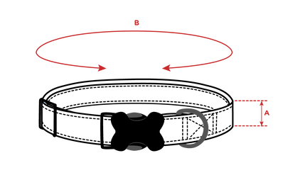 Colliers pour chiens