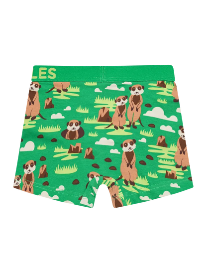 boys-boxers-meerkats-a5/a514bc5dae3e60cc2ba2a07b03f6e729f89ed6e5
