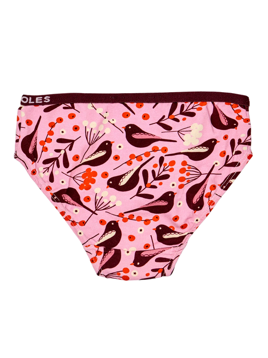 girls-briefs-birds-berries-okt-1d/1d437497be6190bdf111d8613a19386c9e0c3424