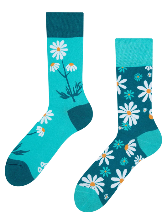 regular-socks-chamomile-02-2b/2b13708f1594b2c9c54f689f96c631db1f4b2ead