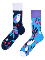 warm-socks-bird-in-winter-a9/a9f34c398e8e2fe89803b6408011e4302ce41f83