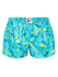womens-boxer-shorts-chameleon-and-flies-af/af07ada7efc47ba6007f3aed477d133a01259e50