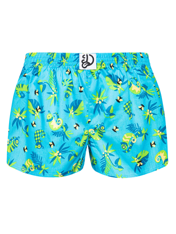 Caleçon rigolo pour femmes Caméléon et mouches