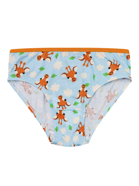 girls-briefs-cute-giraffe-b1/b1c9ffc80fe2a07219b197572859989cffad2fe1