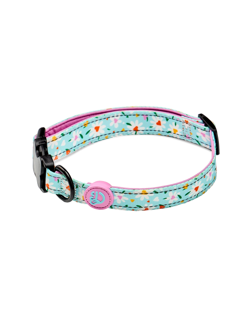 dog-collar-hearts-daisies-ba/babe07b3b9cdf1902b198fa3b1c725a100a0a2c4