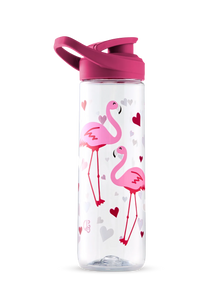 Gourde d’eau rigolote de 700 ml Cœurs et Flamants roses